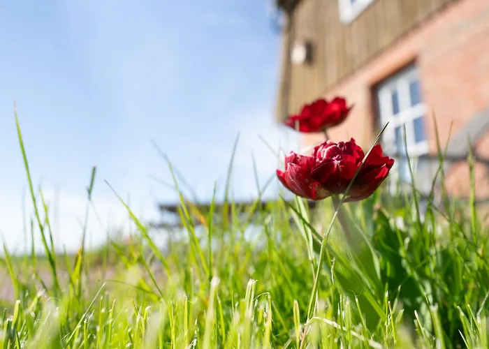 Objekte Im Umland Luebsche Muehle Lägenhet